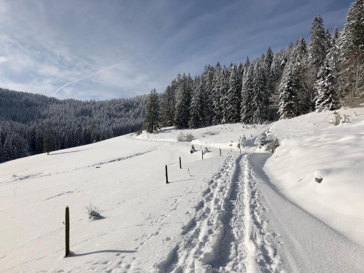 Naturparkhotel Schwarzwaldhaus Bernau im Schwarzwald Dış mekan fotoğraf